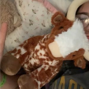 Meet your Posher, Hailey